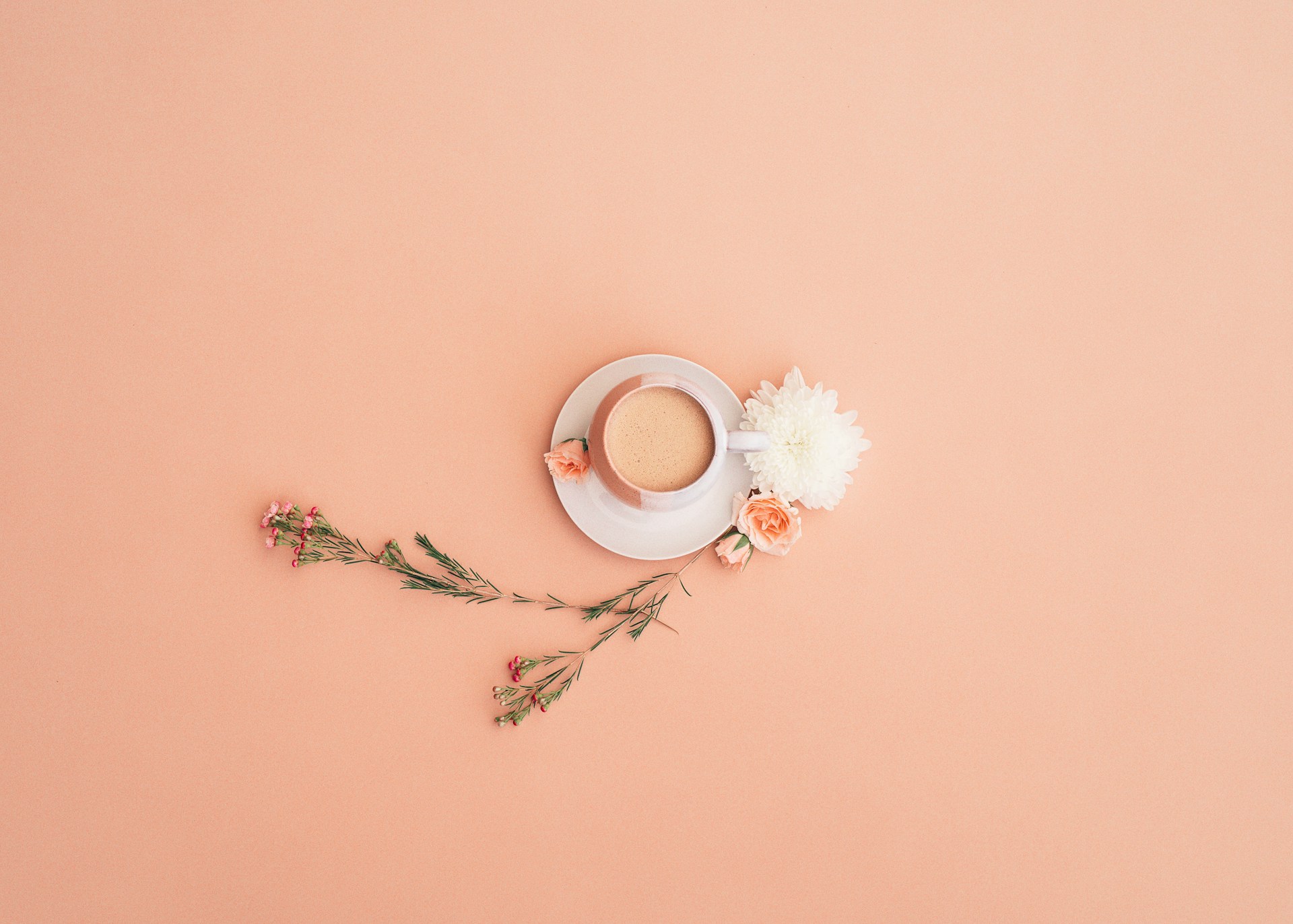 De evolutie van koffiesoorten wereldwijd