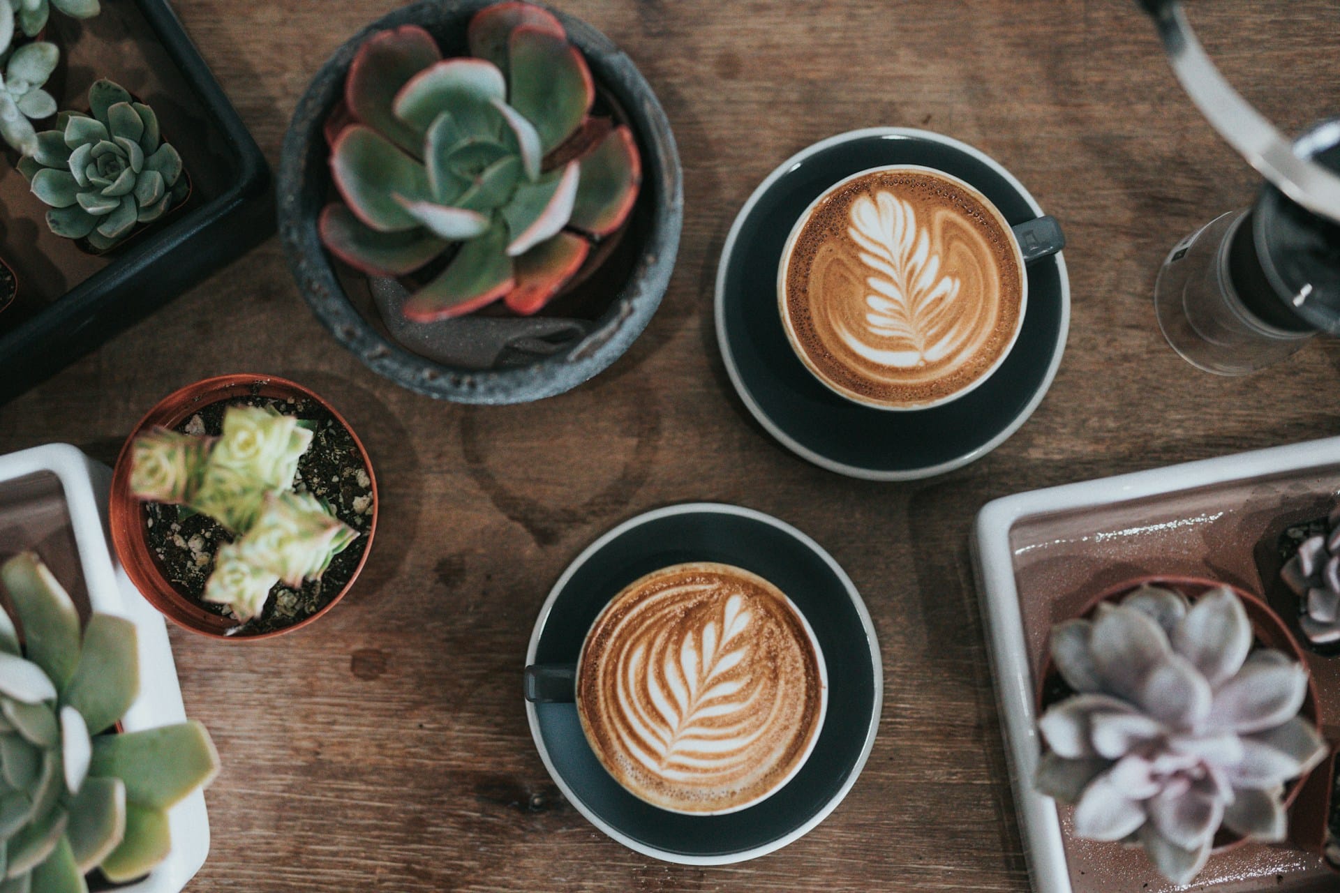 Review van een maand specialty coffee