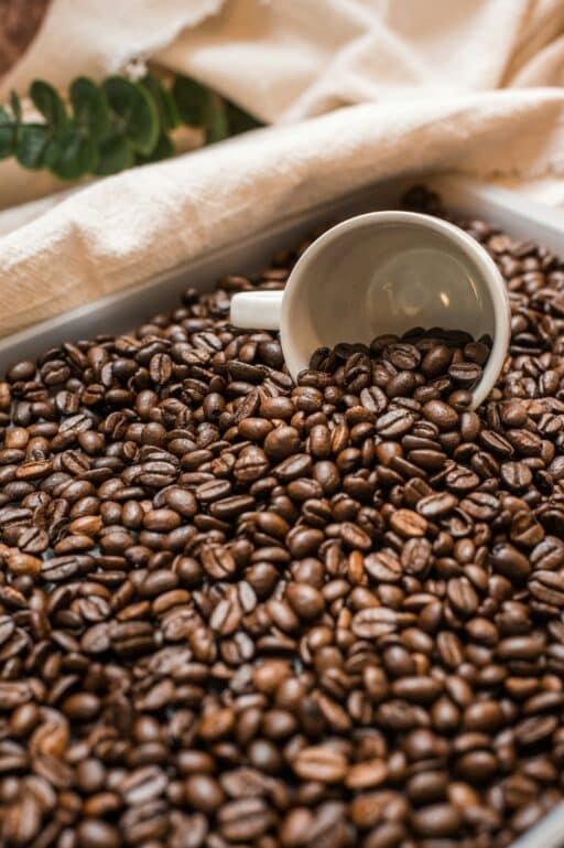 Top 10 zetmethodes voor thuisbarista’s